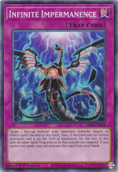 infinite impermanence