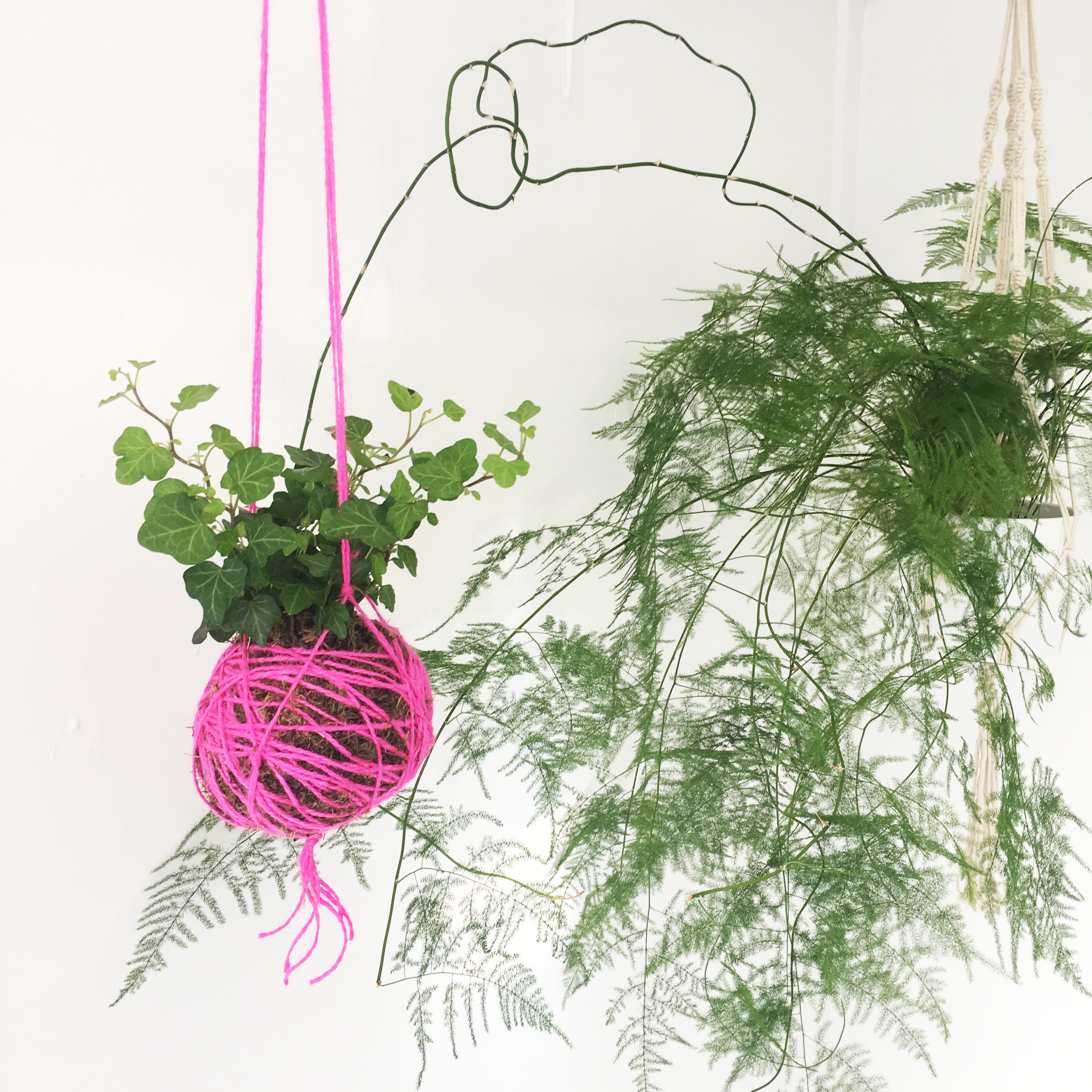 Create Your Own Kokedama
