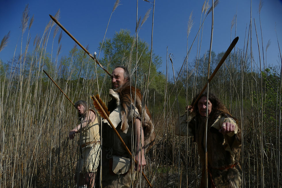 Copie de P1200644.JPG