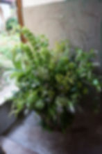DSC00403
