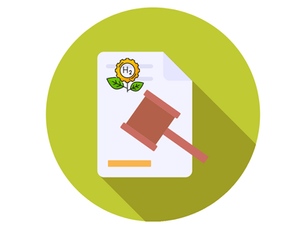 MME anuncia decreto que regulamenta hidrogênio de baixa emissão de carbono no Brasil