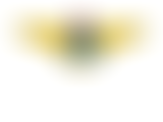 ITA - Instituto Tecnológico de Aeronáutica