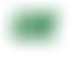 USF - Universidade São Francisco