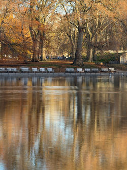 St James park London SW1