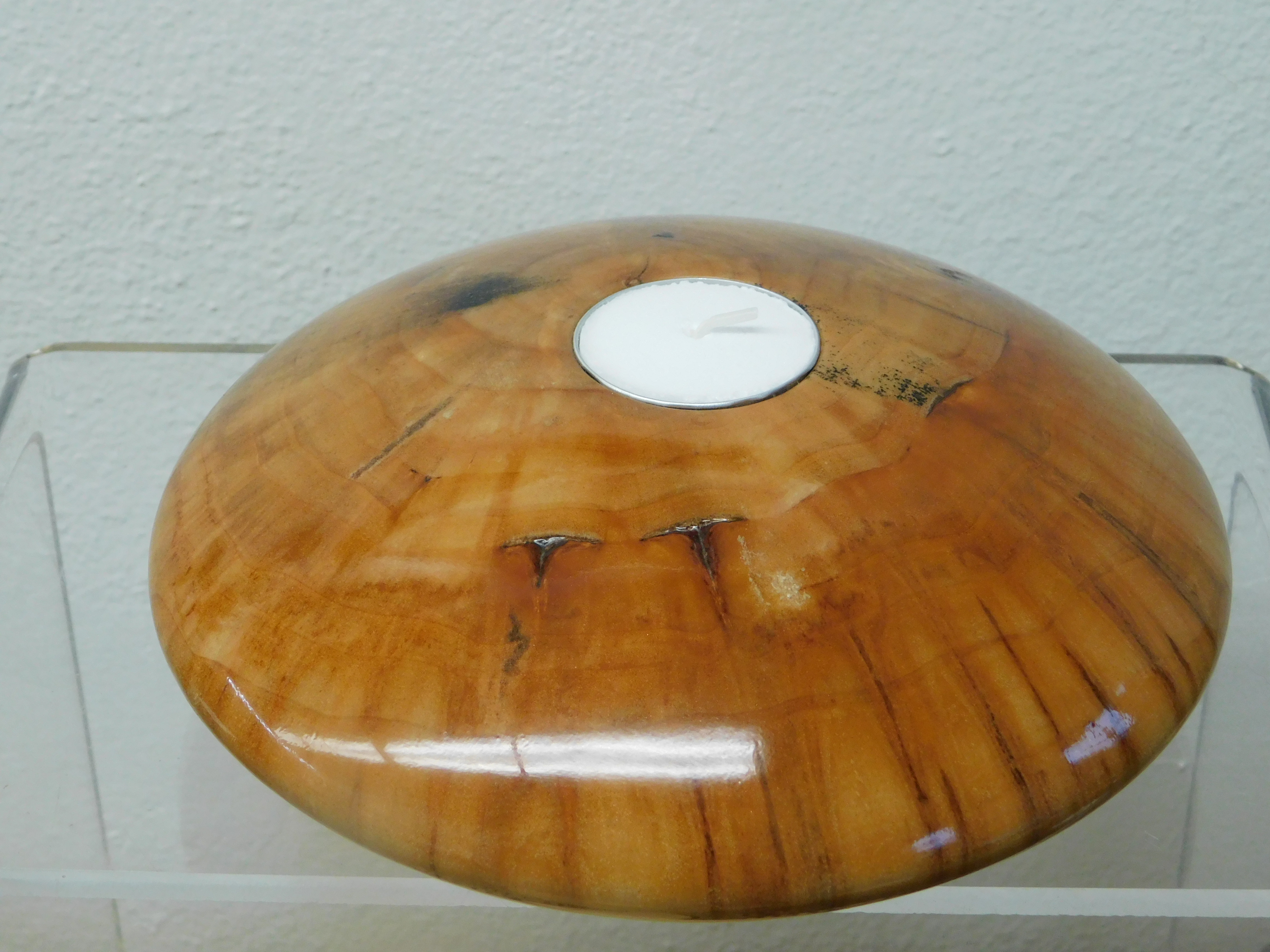 Spalted Willow