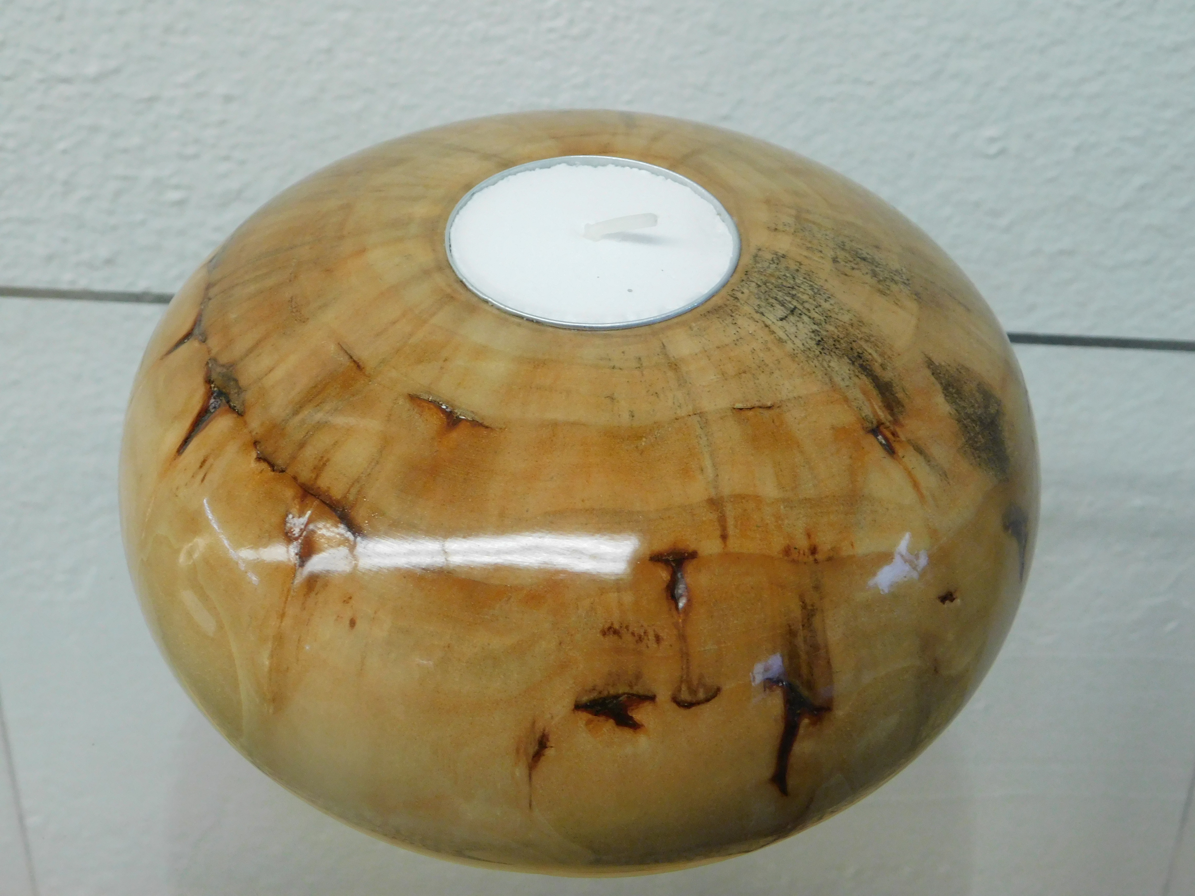 Spalted Willow