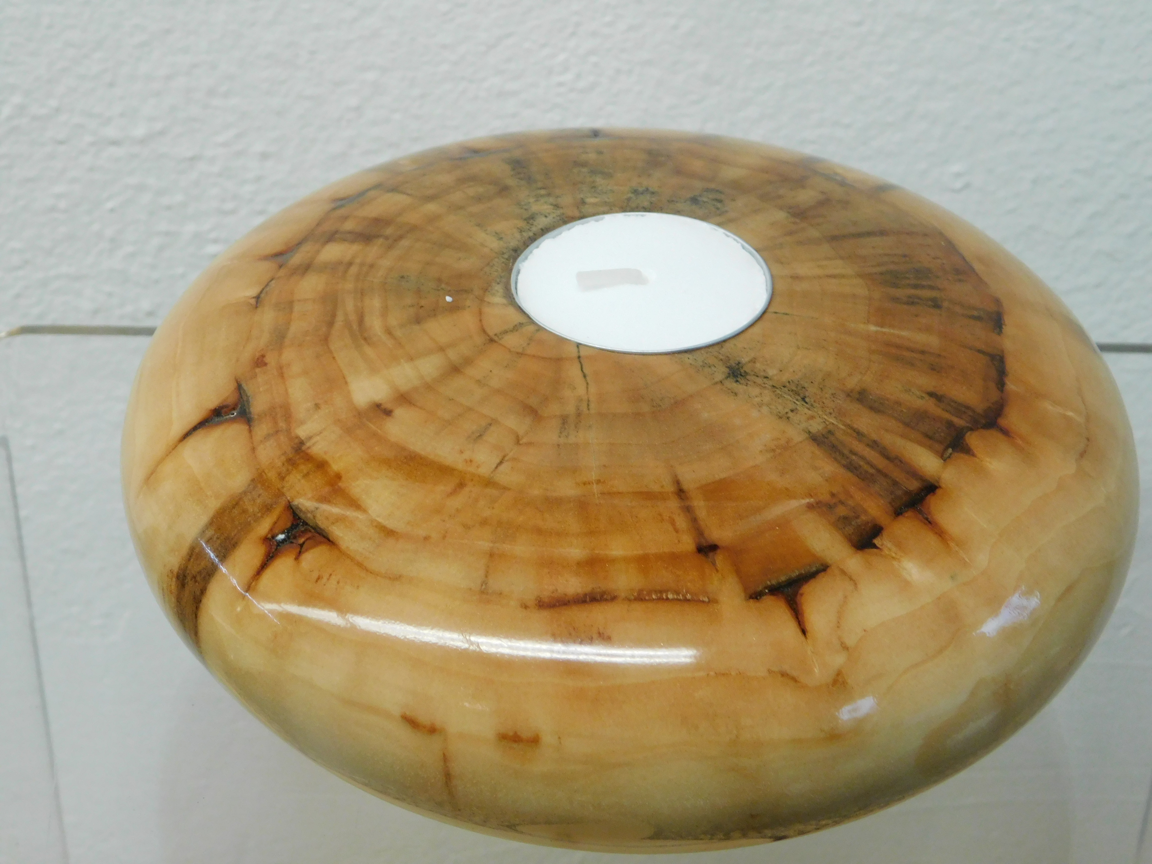 Spalted Willow