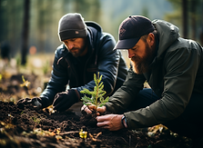 planting tress.png