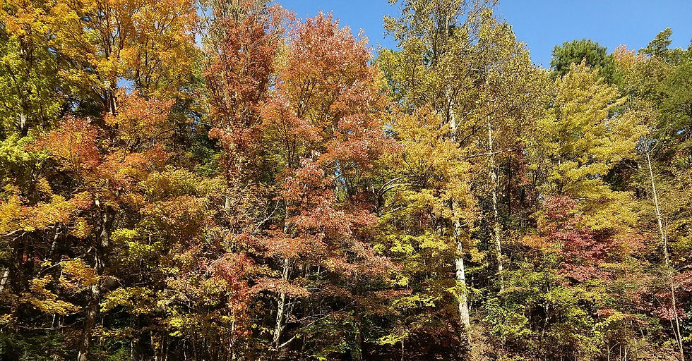 Smoky Mountains