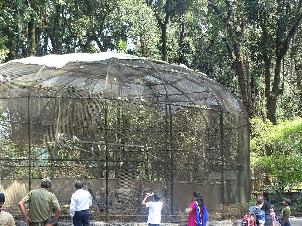 Padmaja Naidu Himalayan Zoological Park, Darjeeling