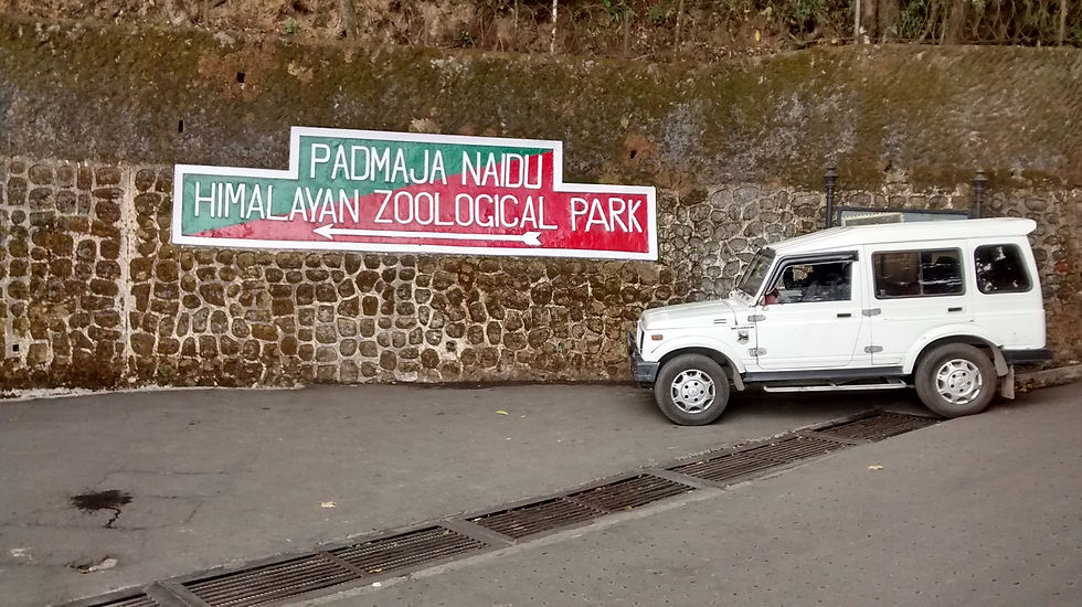 Padmaja Naidu Himalayan Zoological Park, Darjeeling