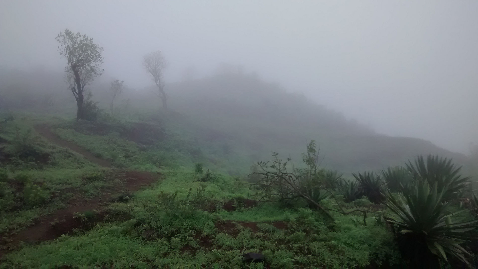 the misty mountain of Sinhagad, Pune