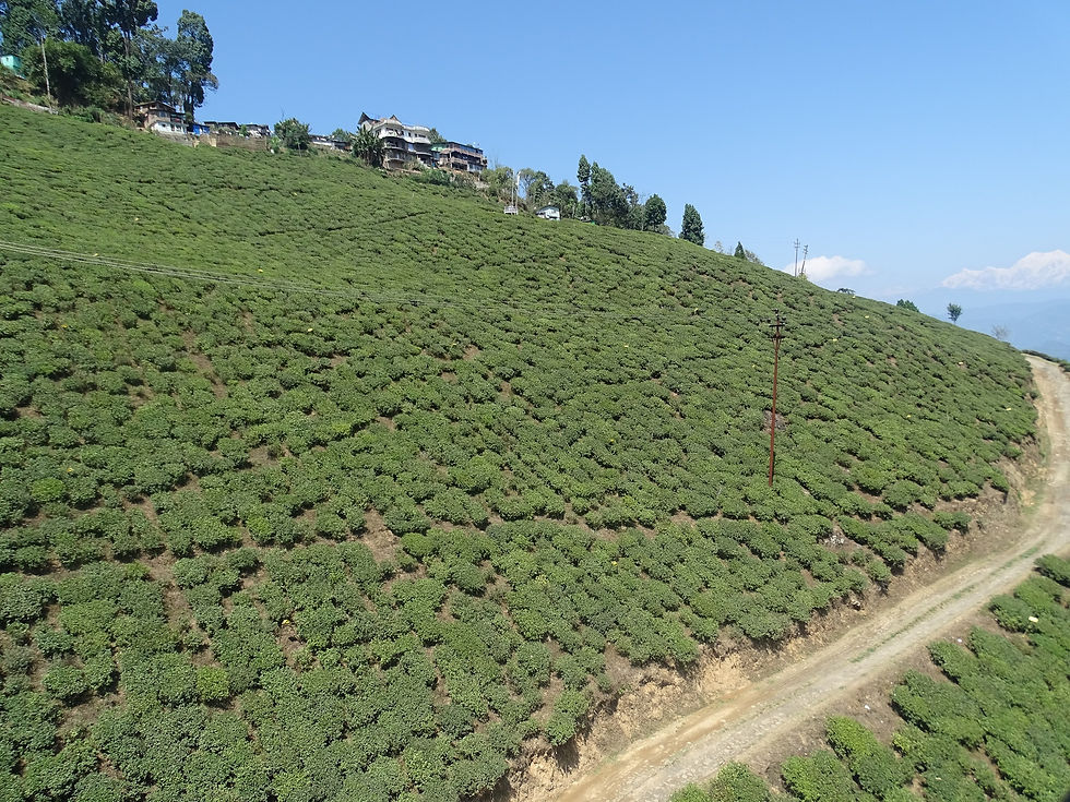 Cable Car, Darjeeling