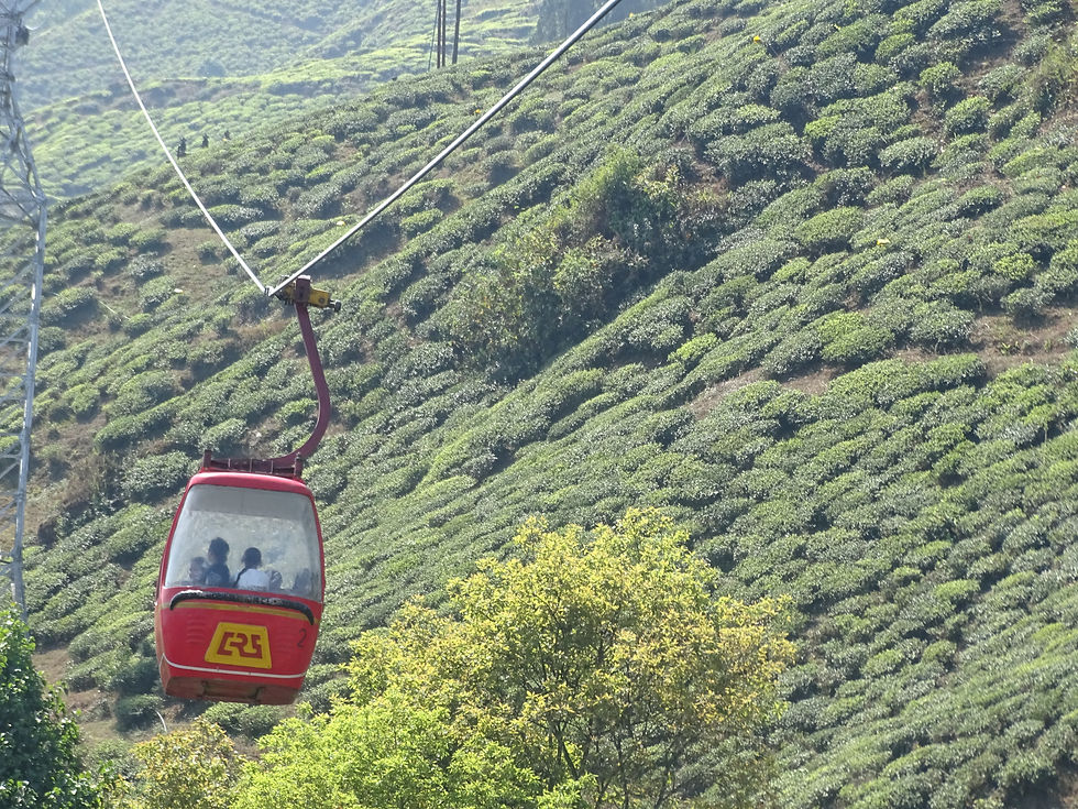 Cable Car, Darjeeling