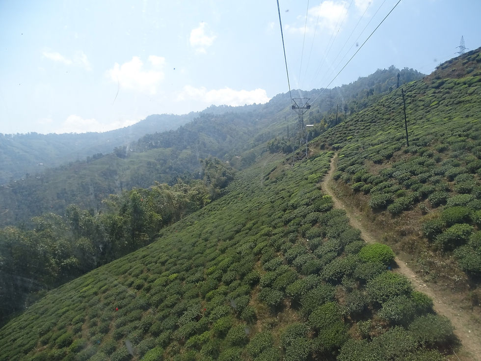 Cable Car, Darjeeling