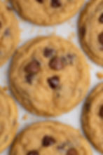 Close-up of freshly baked graham cracker chocolate chip cookies on a baking sheet, displaying golden-brown color and melty chocolate chips.