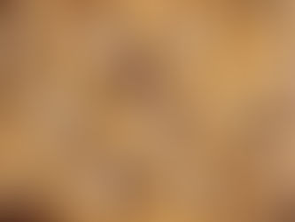 Brown butter chocolate chip cookies