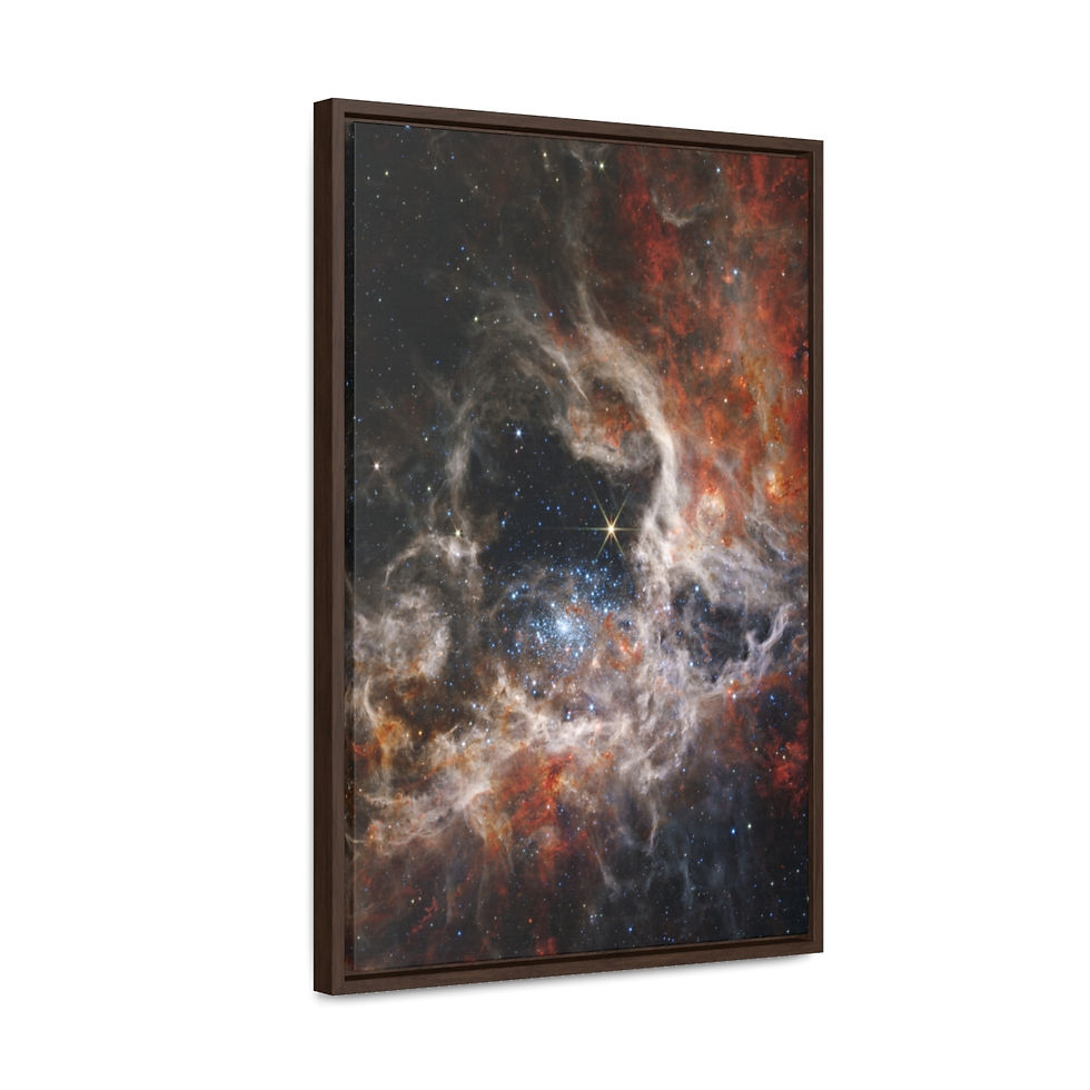 Thumbnail: Tarantula Nebula by Webb Space Telescope - Framed Canvas Various Large Sizes