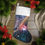Miniatura: James Webb Space Telescope - Orion Nebula Holiday Stocking