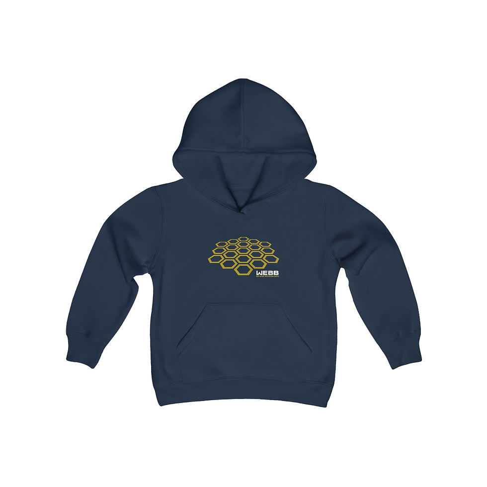 Thumbnail: Youth Hoodie - JWST Warped Honeycomb - James Webb Space Telescope Sweatshirt