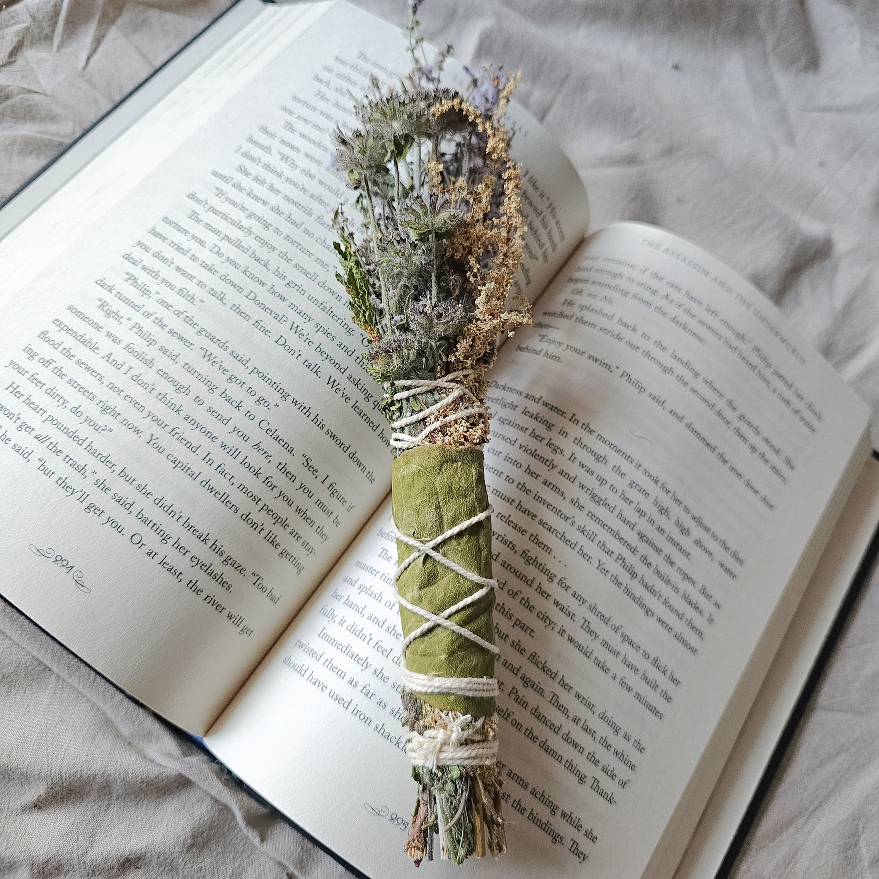 Large White Cedar, Basil and Japanese Knotweed Smudge