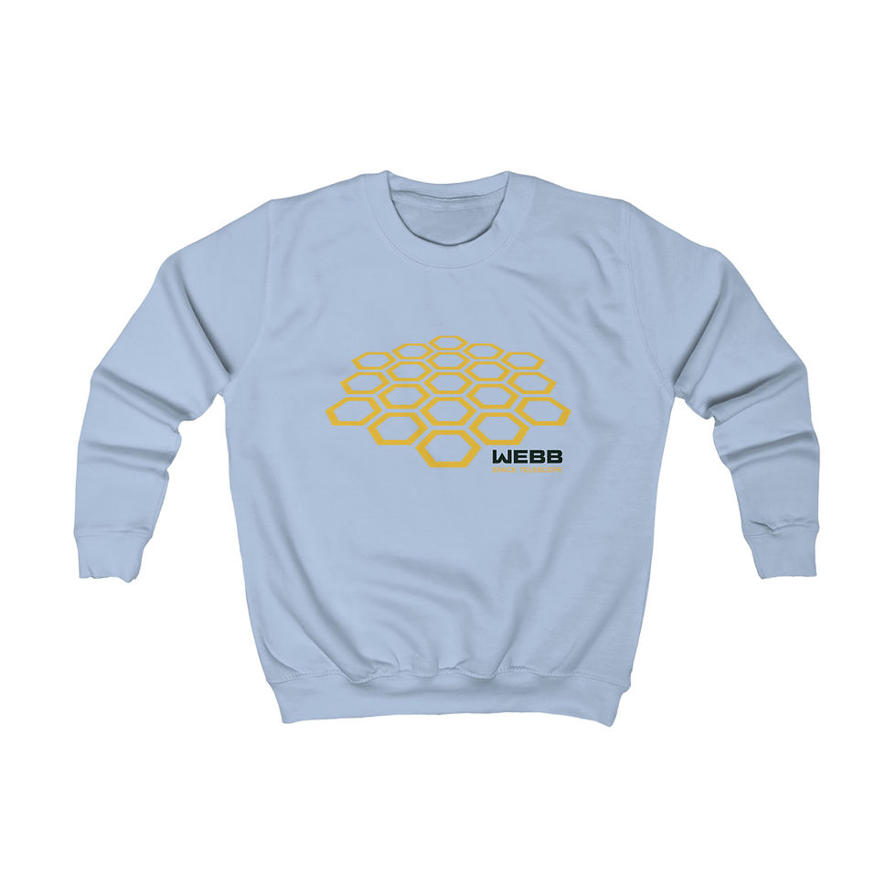 Thumbnail: Kids - Warped Honeycomb - James Webb Space Telescope Sweatshirt