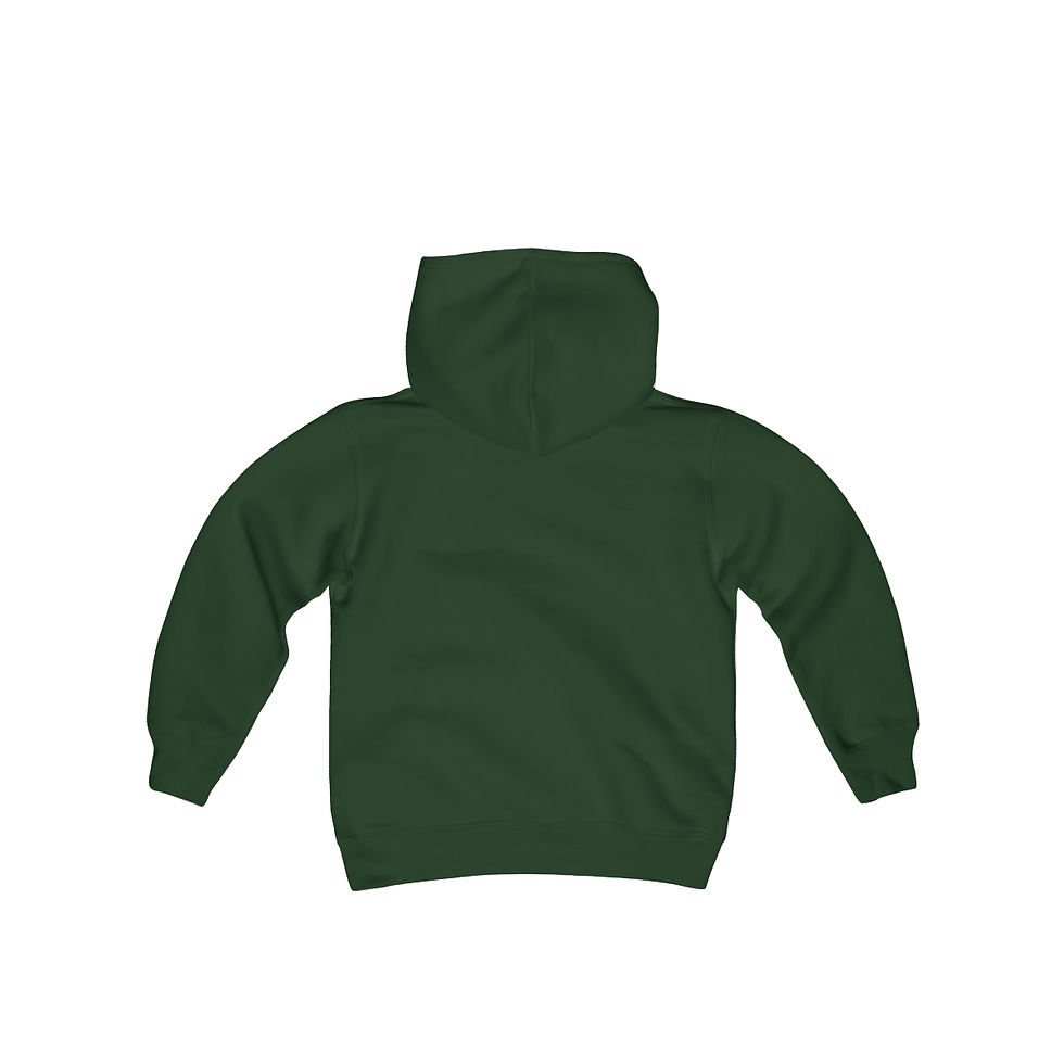 Thumbnail: Youth Hoodie - JWST Starry Night  - James Webb Space Telescope Sweatshirt