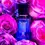 Miniatura: METALLIC ROSE’S 