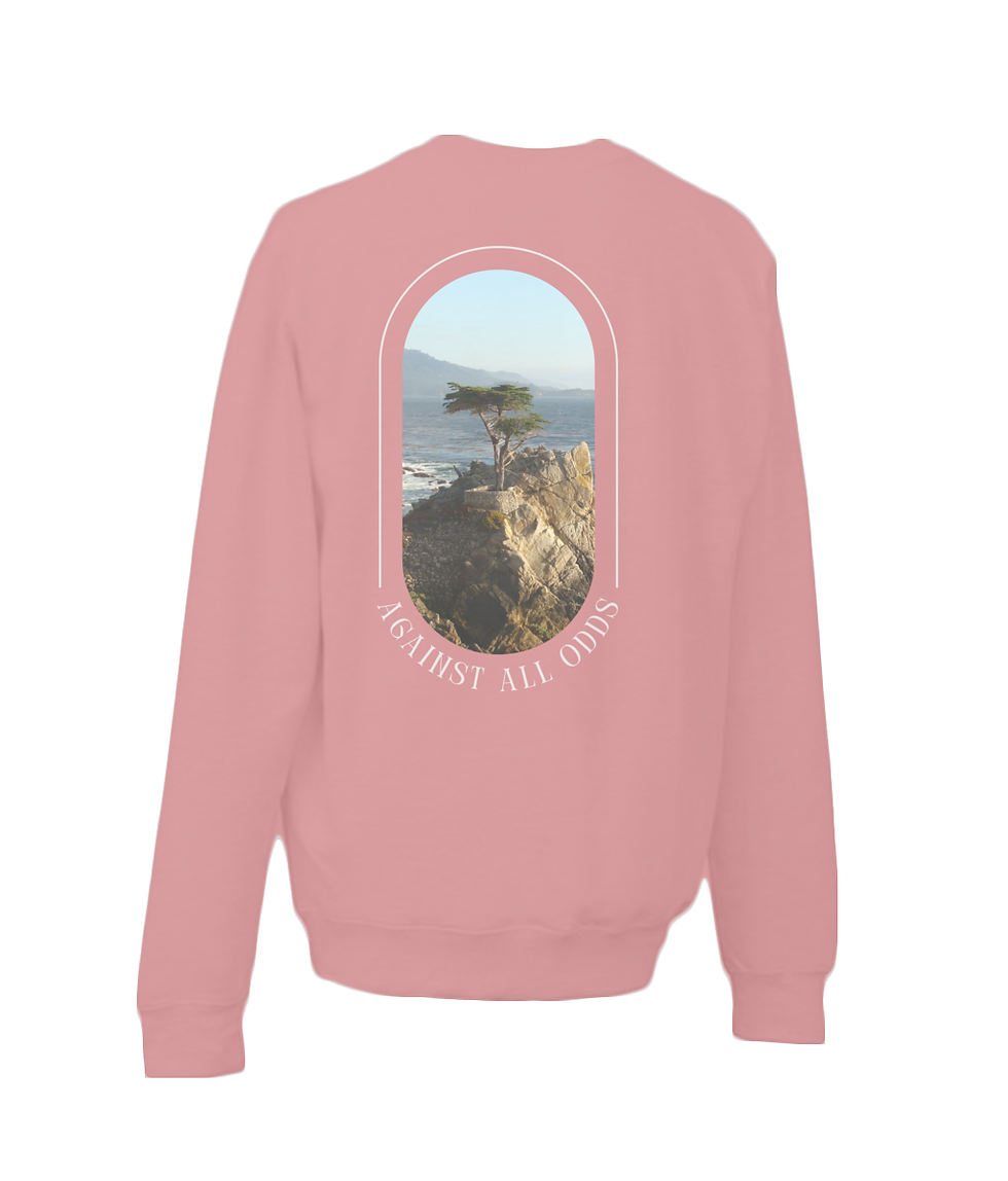 Thumbnail: AWDis Sweatshirt Stella Spinner - Against All Odds 