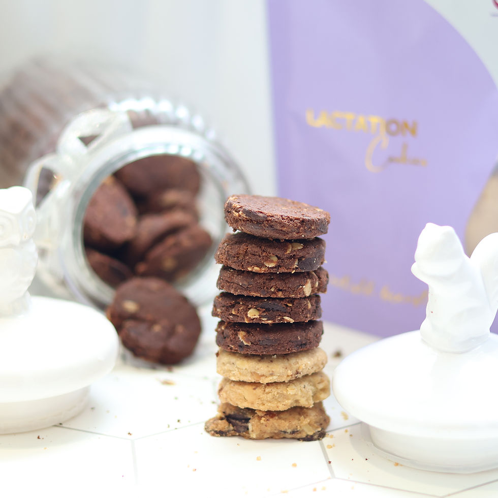 Thumbnail: Cranberries Lactation Cookies (200g)