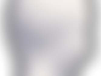 MOA on "Presence photography".