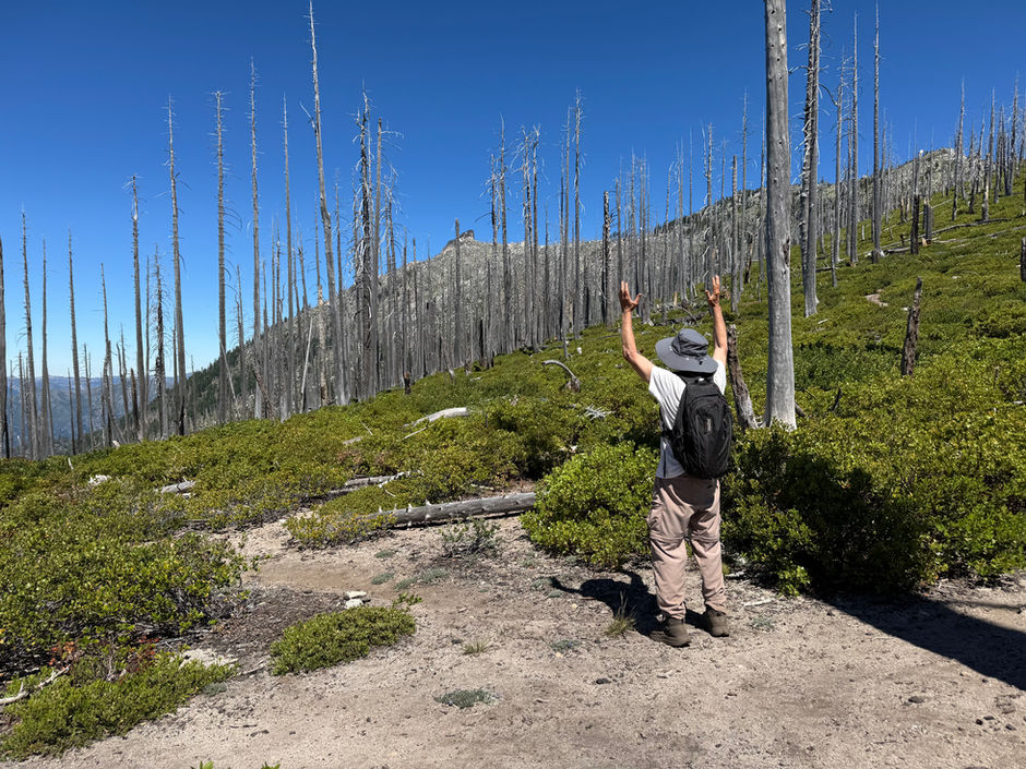 a male hiker, facing away and towards a stand of burned trees, stands with both arms raised in celebration for his achievement