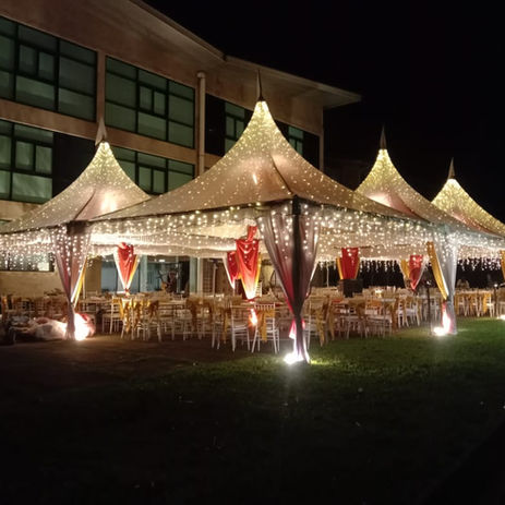 Transparent Canopy with Fairy Lights