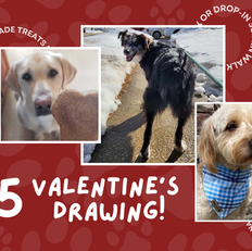 DB Pet Sitter’s $5 Valentine's Day Drawing