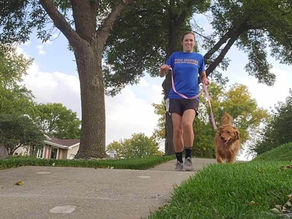 4 Benefits of Daily Dog Walks