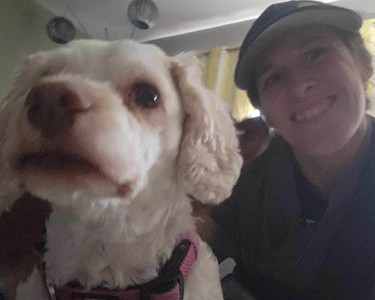 cockapoo sitting next to dp pet sitter. 