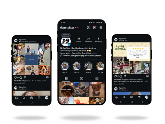 Phone with screenshots of DB Pet Sitters Instagram account. 