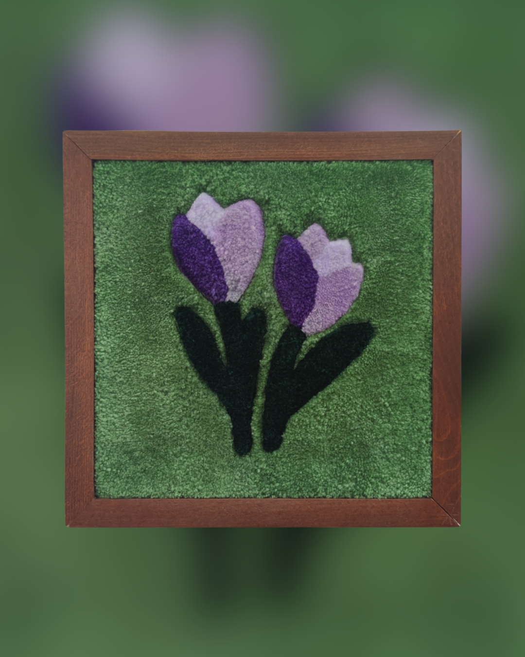 Crocus