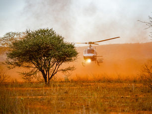 Kenya Wildlife Service and Kenya Rhino Range Expansion Complete Largest-Ever Ear-Notching and Tracking Operation in Tsavo West