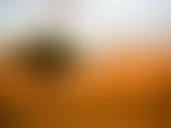 Kenya Wildlife Service and Kenya Rhino Range Expansion Complete Largest-Ever Ear-Notching and Tracking Operation in Tsavo West