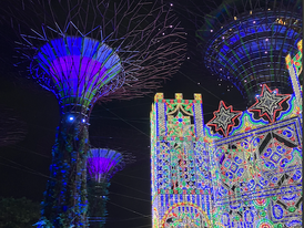 Day 1 - The Life-Light