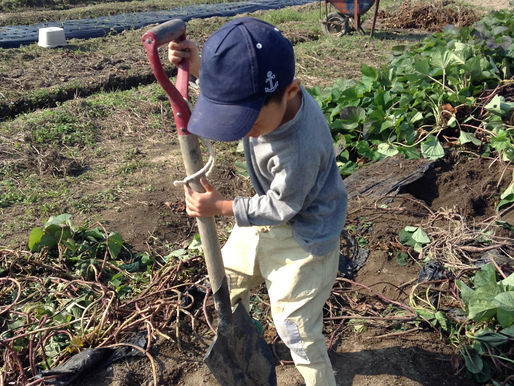 もうまもらへんからな