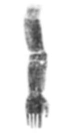 _Z7A7881_monochrome_large のコピー.jpg