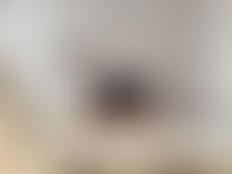 自分の国やのに