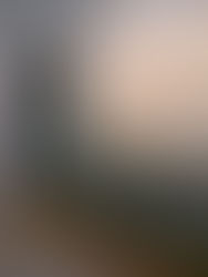 ギャラリーオープン