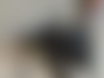 コッコさんたち