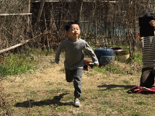 いろんなもんから