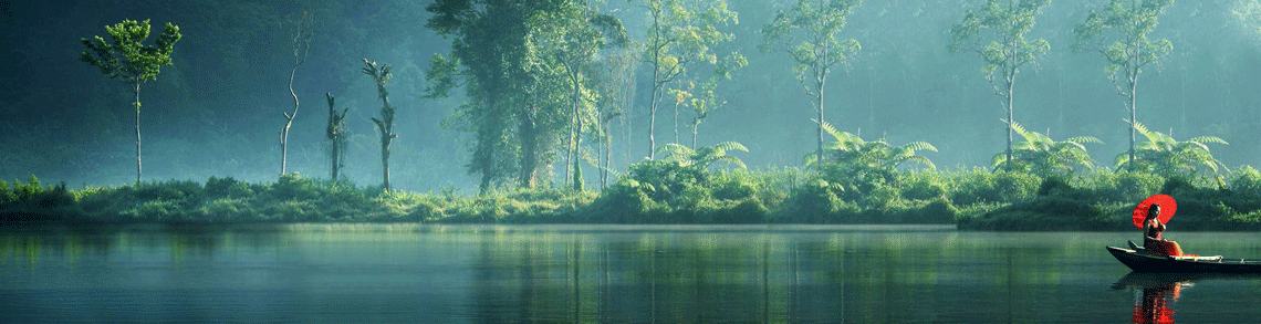 kerala-animection.gif