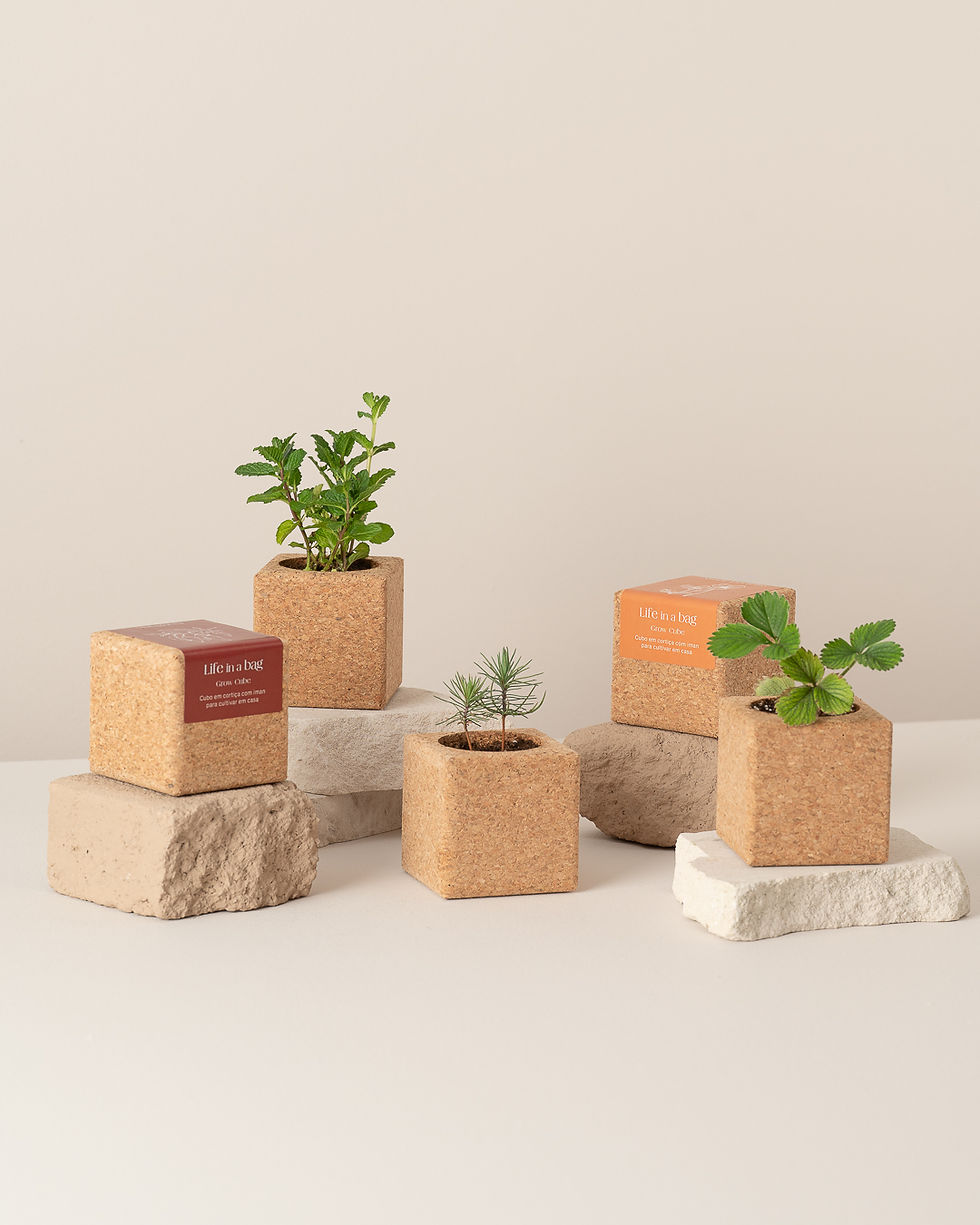 Miniatura: Grow Cube - Hortelã - Life in a Bag