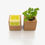 Miniatura: Grow Cube - Coentros - Life in a Bag